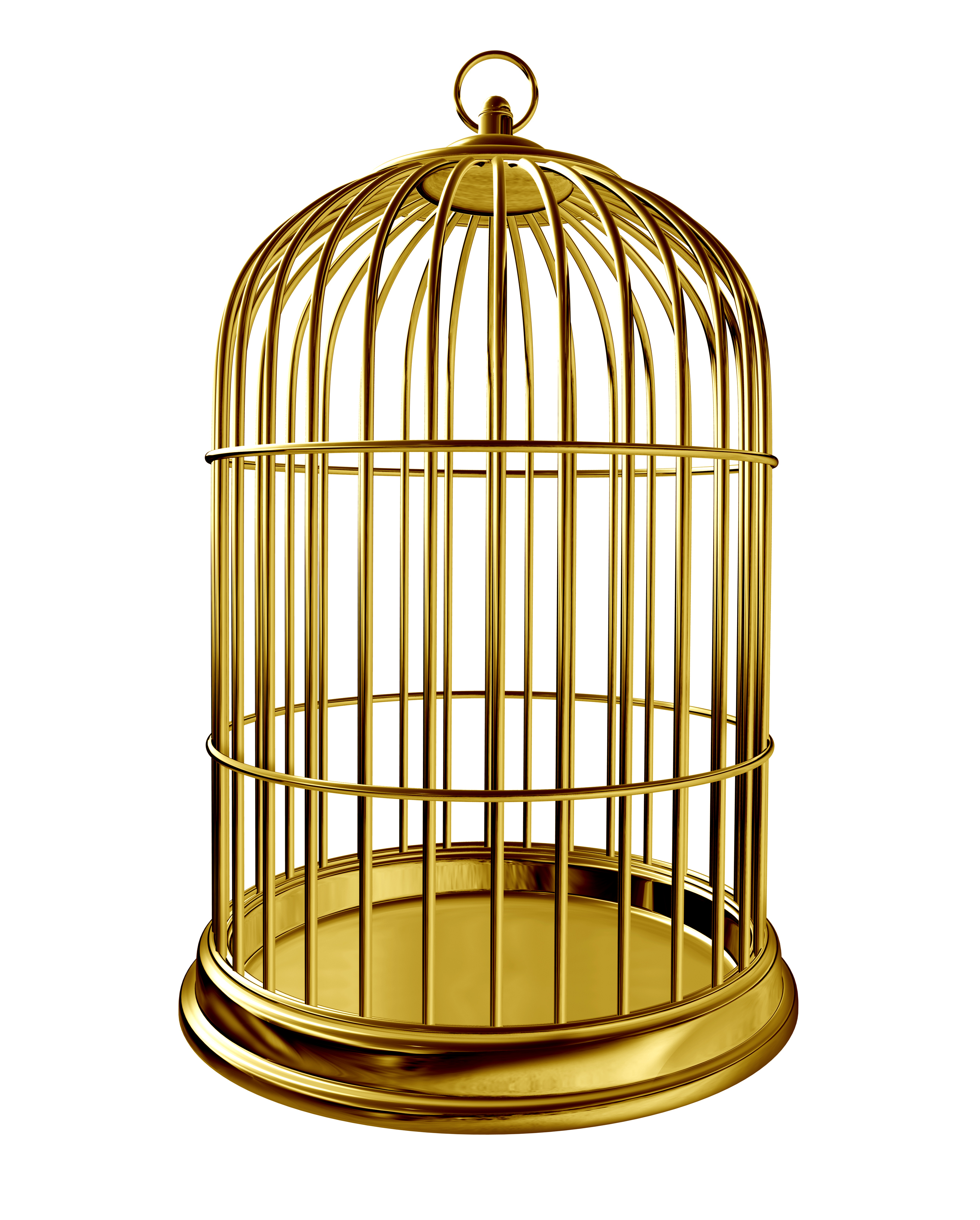 http://birdcagesingapore.com/wp-content/uploads/Brass-Bird-Cage.jpg