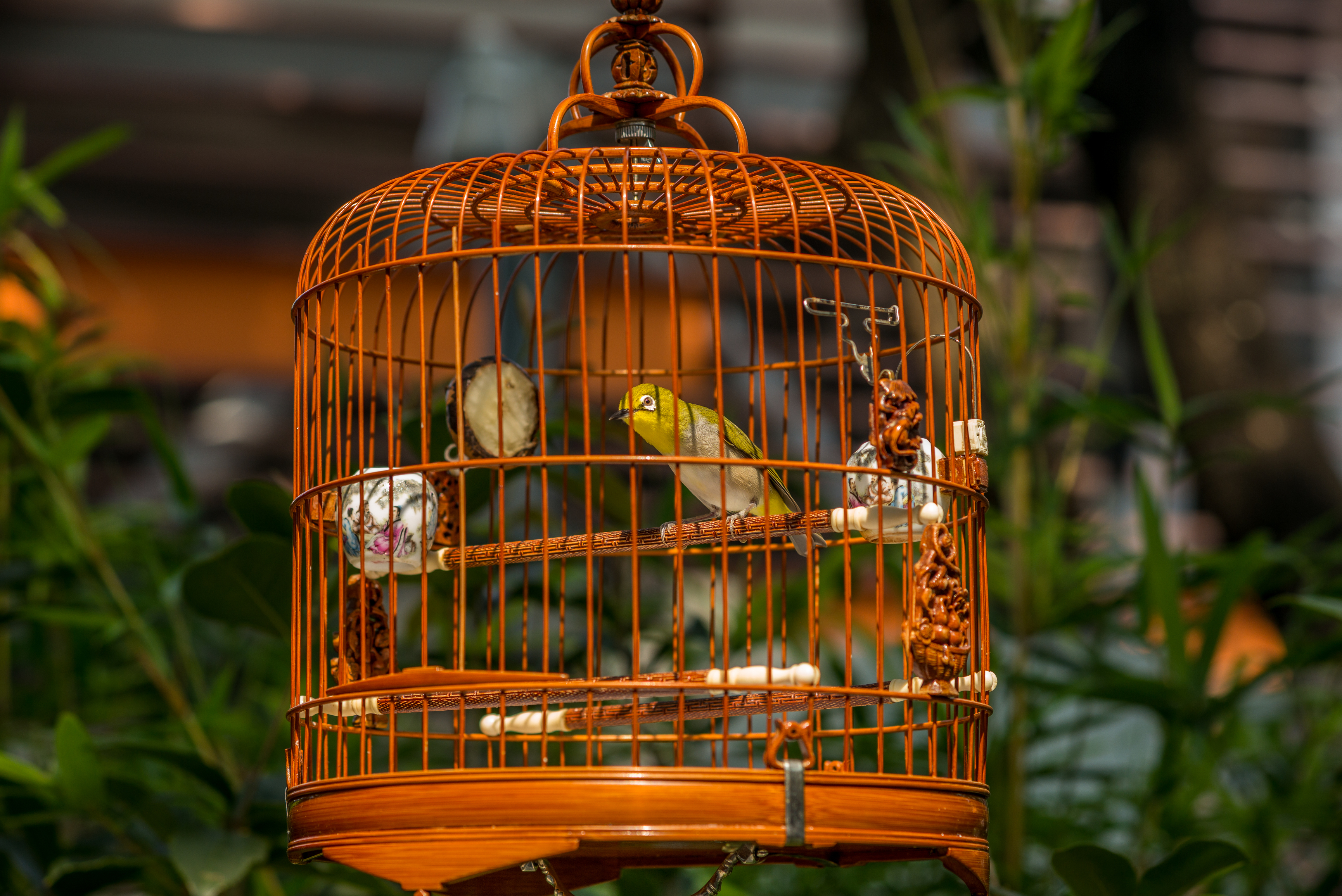 bird cage living room ideas