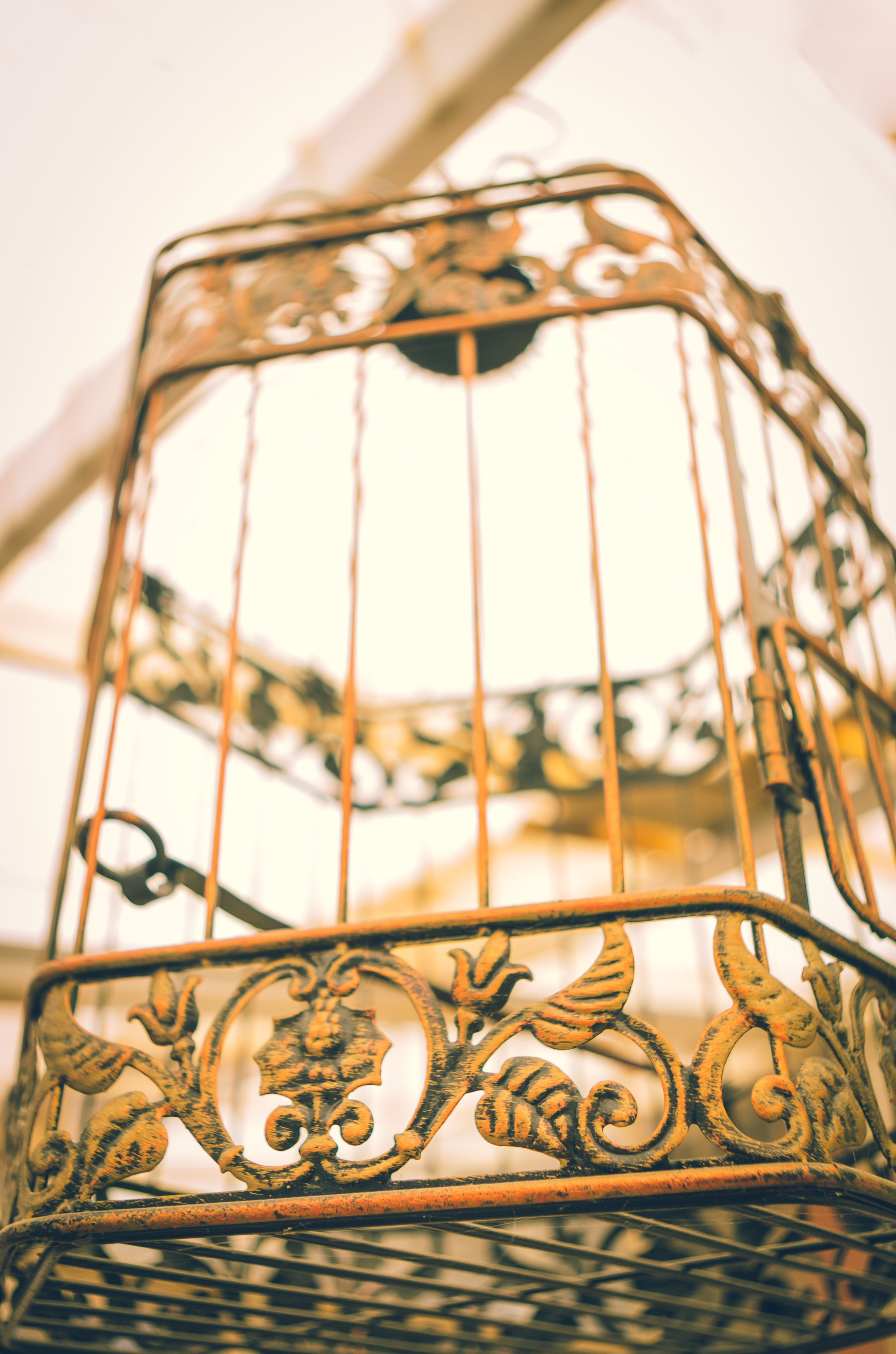 Victorian Bird Cage Singapore