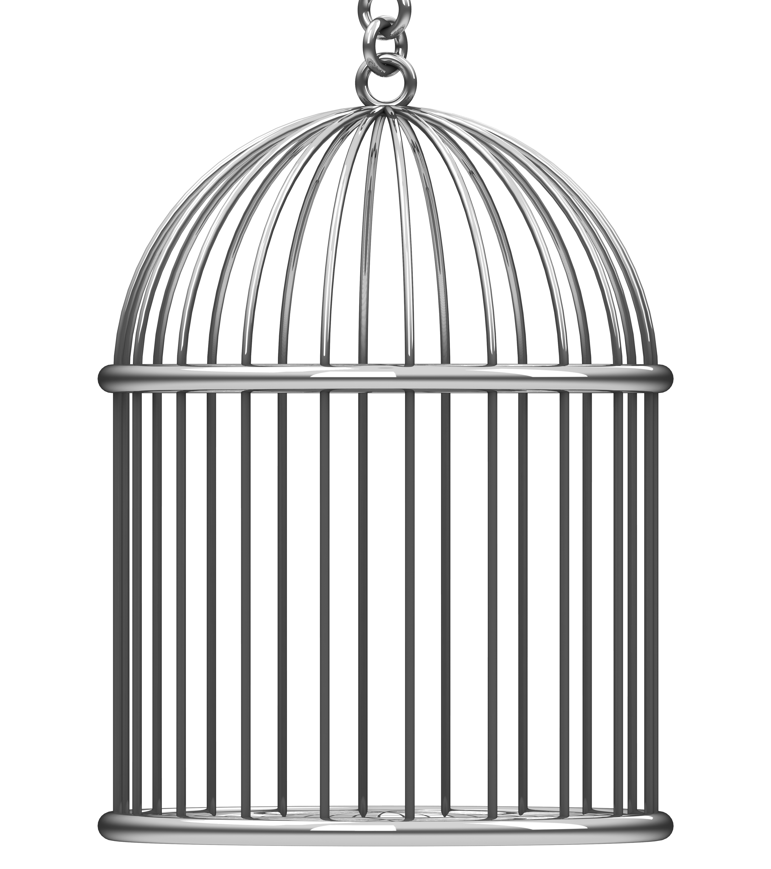 iron-bird-cage.jpg (2663Ã3002)